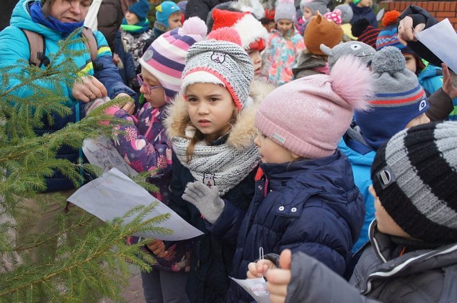 Przedszkolaki stroiły choinki przed Miejską Wigilią [ZDJĘCIA] - zdjęcie #34 - eOstroleka.pl
