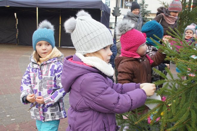 Przedszkolaki stroiły choinki przed Miejską Wigilią [ZDJĘCIA] - zdjęcie #48 - eOstroleka.pl