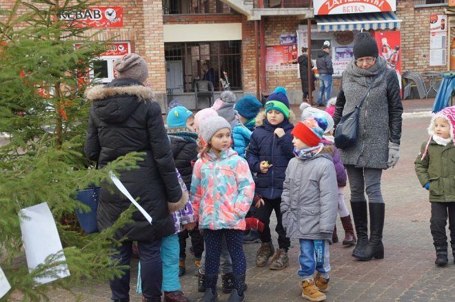 Przedszkolaki stroiły choinki przed Miejską Wigilią [ZDJĘCIA] - zdjęcie #52 - eOstroleka.pl