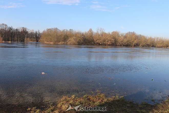 Wysoki stan rzeki Narew [27.12.2017] - zdjęcie #2 - eOstroleka.pl