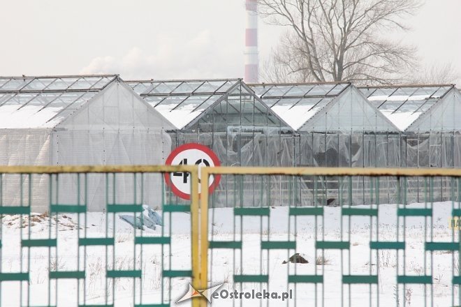 Ostrołęckie PGO w stanie upadłości [25.01.2018] - zdjęcie #12 - eOstroleka.pl