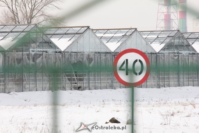 Ostrołęckie PGO w stanie upadłości [25.01.2018] - zdjęcie #14 - eOstroleka.pl
