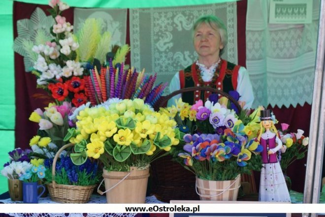 Dzień Ziemi 2010 (25.04.2010) - zdjęcie #74 - eOstroleka.pl