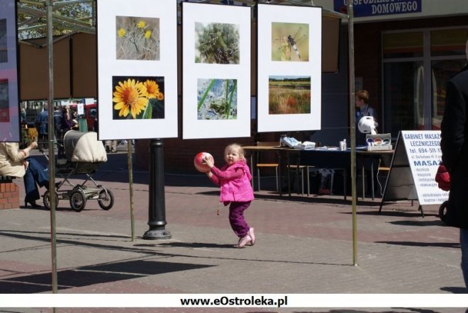 Dzień Ziemi 2010 (25.04.2010) - zdjęcie #47 - eOstroleka.pl