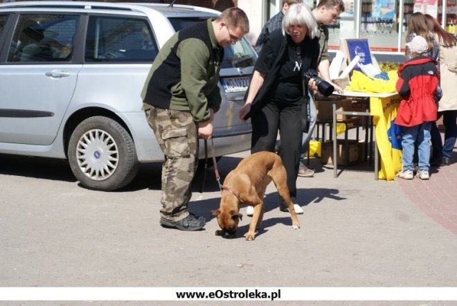 Dzień Ziemi 2010 (25.04.2010) - zdjęcie #46 - eOstroleka.pl