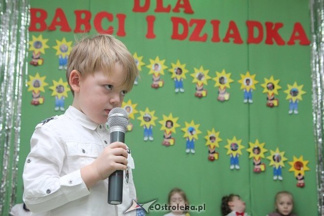 Dzień Babci i Dziadka w Krainie Misiów [09.02.2018] - zdjęcie #67 - eOstroleka.pl