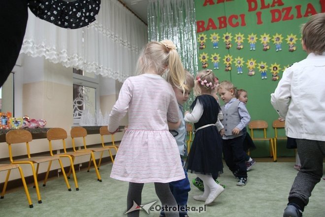 Dzień Babci i Dziadka w Krainie Misiów [09.02.2018] - zdjęcie #55 - eOstroleka.pl