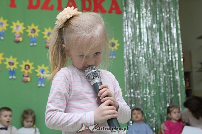 Dzień Babci i Dziadka w Krainie Misiów [09.02.2018] - zdjęcie #41 - eOstroleka.pl