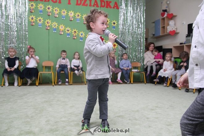 Dzień Babci i Dziadka w Krainie Misiów [09.02.2018] - zdjęcie #38 - eOstroleka.pl