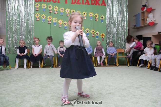 Dzień Babci i Dziadka w Krainie Misiów [09.02.2018] - zdjęcie #33 - eOstroleka.pl