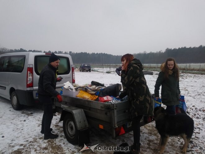 Uczniowie „dwójki” ponownie wsparli schronisko Canis z Kruszewa [23.02.2018] - zdjęcie #2 - eOstroleka.pl