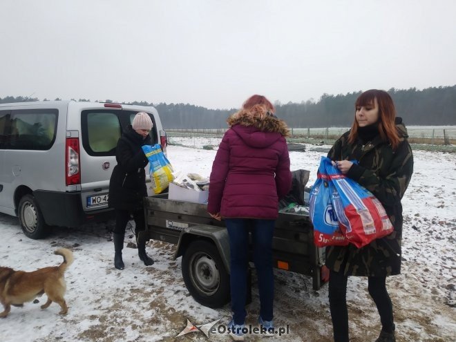 Uczniowie „dwójki” ponownie wsparli schronisko Canis z Kruszewa [23.02.2018] - zdjęcie #4 - eOstroleka.pl