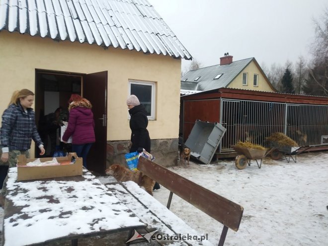 Uczniowie „dwójki” ponownie wsparli schronisko Canis z Kruszewa [23.02.2018] - zdjęcie #5 - eOstroleka.pl