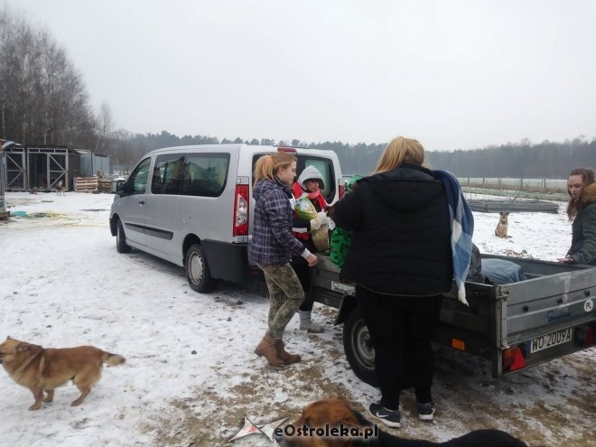 Uczniowie „dwójki” ponownie wsparli schronisko Canis z Kruszewa [23.02.2018] - zdjęcie #6 - eOstroleka.pl