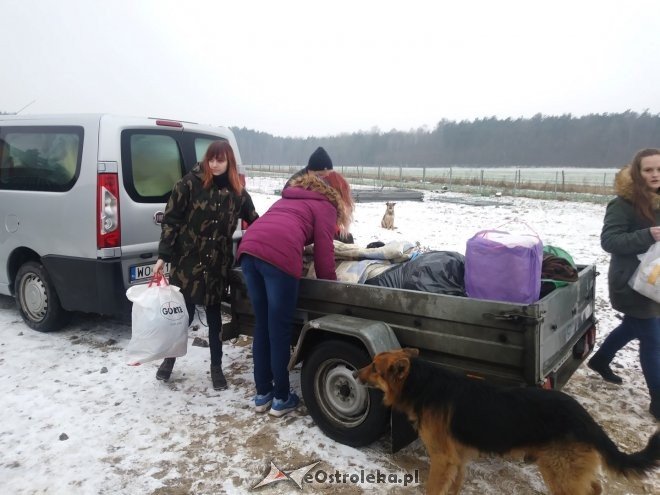 Uczniowie „dwójki” ponownie wsparli schronisko Canis z Kruszewa [23.02.2018] - zdjęcie #7 - eOstroleka.pl