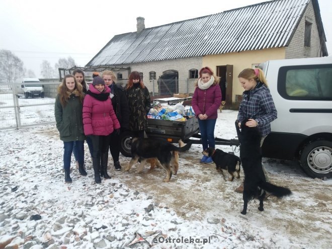 Uczniowie „dwójki” ponownie wsparli schronisko Canis z Kruszewa [23.02.2018] - zdjęcie #14 - eOstroleka.pl