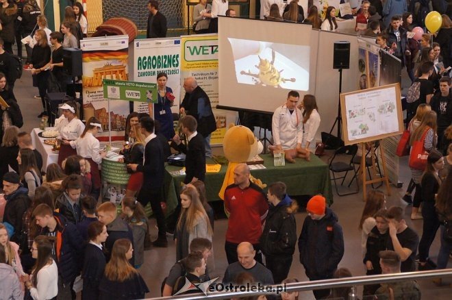 XVI Prezentacje Edukacyjne w Ostrołęce [20.03.2018] - zdjęcie #2 - eOstroleka.pl