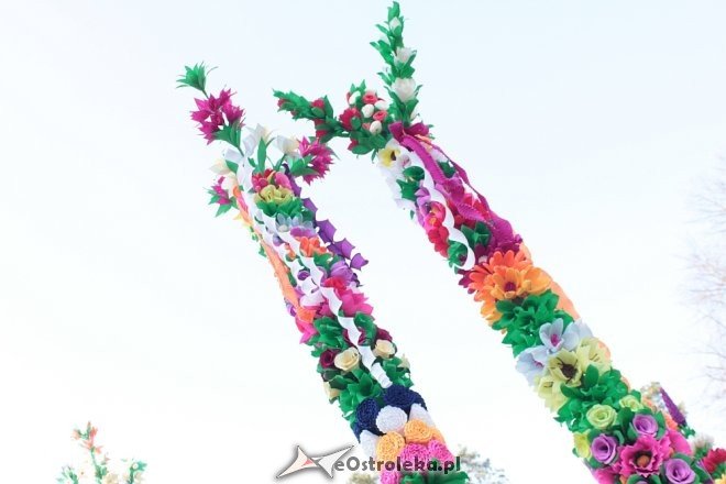 Niedziela Palmowa w Łysych [25.03.2018] - zdjęcie #143 - eOstroleka.pl