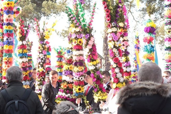 Niedziela Palmowa w Łysych [25.03.2018] - zdjęcie #142 - eOstroleka.pl