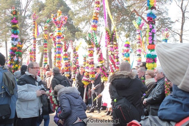 Niedziela Palmowa w Łysych [25.03.2018] - zdjęcie #141 - eOstroleka.pl