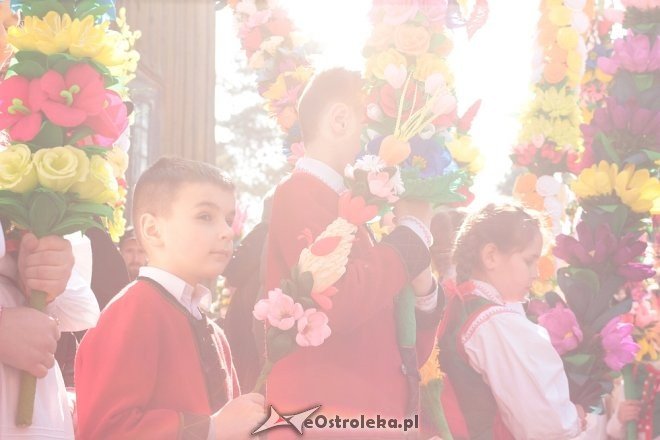 Niedziela Palmowa w Łysych [25.03.2018] - zdjęcie #120 - eOstroleka.pl