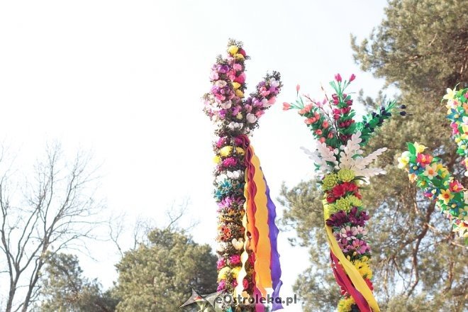 Niedziela Palmowa w Łysych [25.03.2018] - zdjęcie #109 - eOstroleka.pl