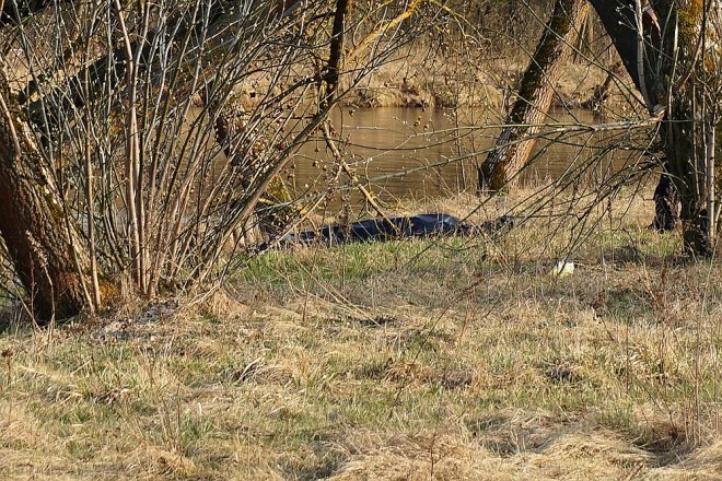 W Narwi znaleziono zwłoki mężczyzny [10.04.2018] - zdjęcie #15 - eOstroleka.pl