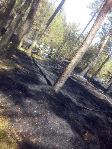 Pożar lasu w Chudku [10.05.2018] - zdjęcie #6 - eOstroleka.pl