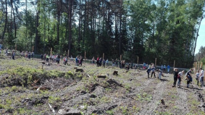 Drzewa Pamięci od podopiecznych TPD w 100-rocznicę odzyskania Niepodległości [10.05.2018] - zdjęcie #3 - eOstroleka.pl