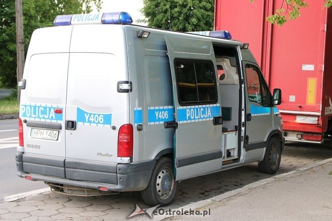 Ostrołęka: Zderzenie ciężarówki z sarną na Traugutta [15.05.2018] - zdjęcie #4 - eOstroleka.pl