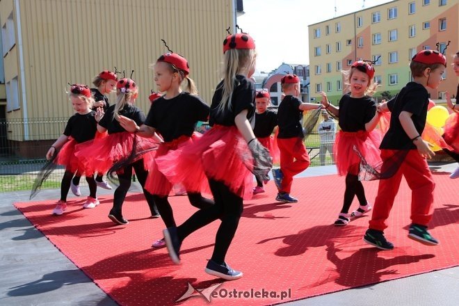VII Przedszkolny Festiwal Tańca [22.05.2018] - zdjęcie #65 - eOstroleka.pl