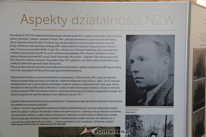 Ostrołęka: „Sygnety Niepodległości” wręczone [28.05.2018] - zdjęcie #13 - eOstroleka.pl