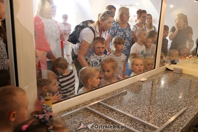 Przedszkolaki z Krainy Misiów w Fabryce Cukierków [24.05.2018] - zdjęcie #16 - eOstroleka.pl