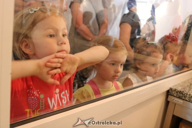 Przedszkolaki z Krainy Misiów w Fabryce Cukierków [24.05.2018] - zdjęcie #11 - eOstroleka.pl