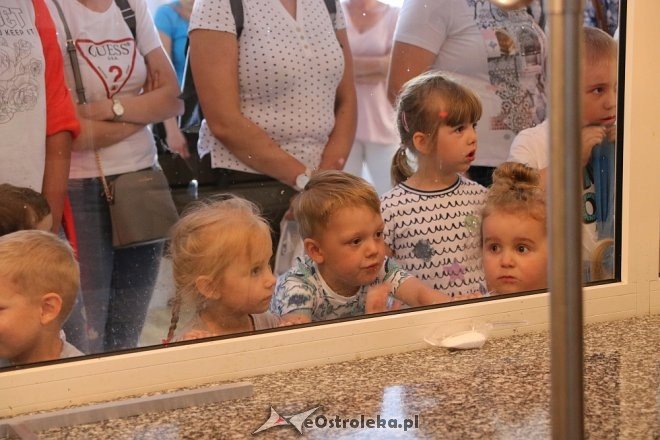 Przedszkolaki z Krainy Misiów w Fabryce Cukierków [24.05.2018] - zdjęcie #8 - eOstroleka.pl
