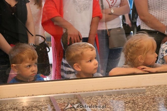 Przedszkolaki z Krainy Misiów w Fabryce Cukierków [24.05.2018] - zdjęcie #7 - eOstroleka.pl