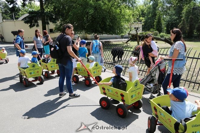 Przedszkolaki z Krainy Misiów w Fabryce Cukierków [24.05.2018] - zdjęcie #92 - eOstroleka.pl