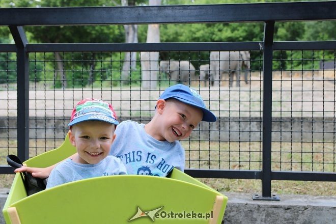 Przedszkolaki z Krainy Misiów w Fabryce Cukierków [24.05.2018] - zdjęcie #96 - eOstroleka.pl