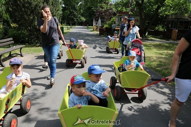 Przedszkolaki z Krainy Misiów w Fabryce Cukierków [24.05.2018] - zdjęcie #101 - eOstroleka.pl