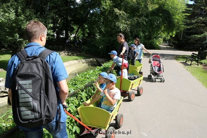 Przedszkolaki z Krainy Misiów w Fabryce Cukierków [24.05.2018] - zdjęcie #87 - eOstroleka.pl