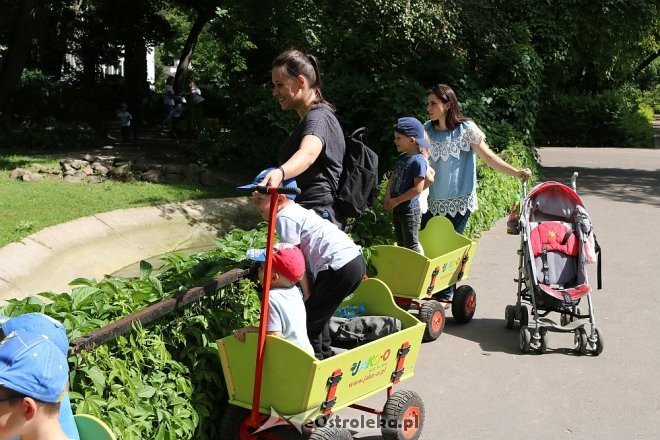 Przedszkolaki z Krainy Misiów w Fabryce Cukierków [24.05.2018] - zdjęcie #86 - eOstroleka.pl