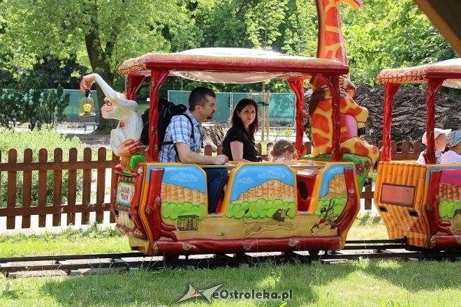 Przedszkolaki z Krainy Misiów w Fabryce Cukierków [24.05.2018] - zdjęcie #72 - eOstroleka.pl