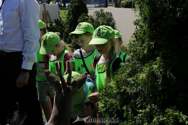 Miejski Dzień Dziecka w Ostrołęce [30.05.2018] - zdjęcie #83 - eOstroleka.pl