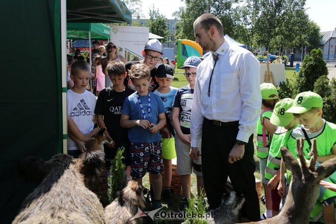 Miejski Dzień Dziecka w Ostrołęce [30.05.2018] - zdjęcie #63 - eOstroleka.pl