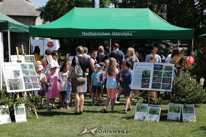 Miejski Dzień Dziecka w Ostrołęce [30.05.2018] - zdjęcie #31 - eOstroleka.pl
