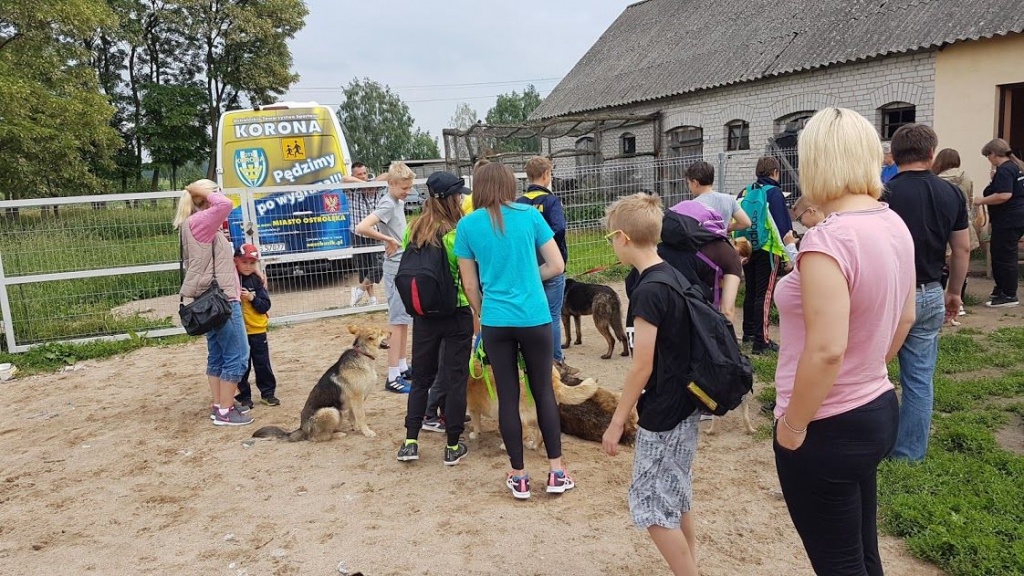Akcja charytatywna OTS Korona i Biegam bo Lubię [26.05.2018] - zdjęcie #2 - eOstroleka.pl