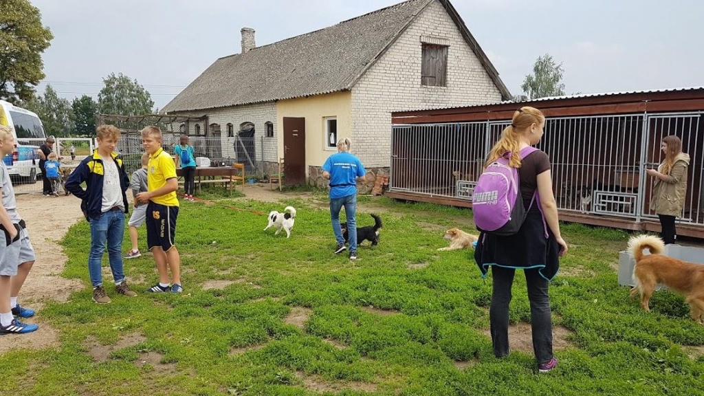 Akcja charytatywna OTS Korona i Biegam bo Lubię [26.05.2018] - zdjęcie #8 - eOstroleka.pl