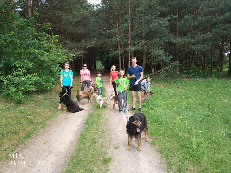 Akcja charytatywna OTS Korona i Biegam bo Lubię [26.05.2018] - zdjęcie #5 - eOstroleka.pl