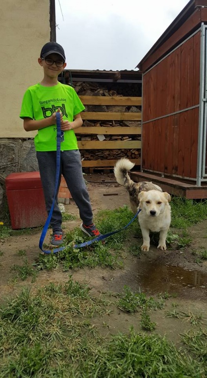 Akcja charytatywna OTS Korona i Biegam bo Lubię [26.05.2018] - zdjęcie #11 - eOstroleka.pl