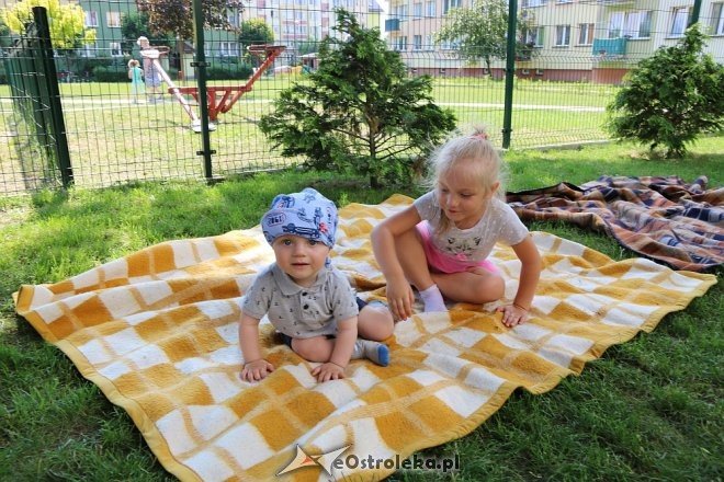 Piknik rodzinny z Krainie Misiów [05.06.2018] - zdjęcie #3 - eOstroleka.pl